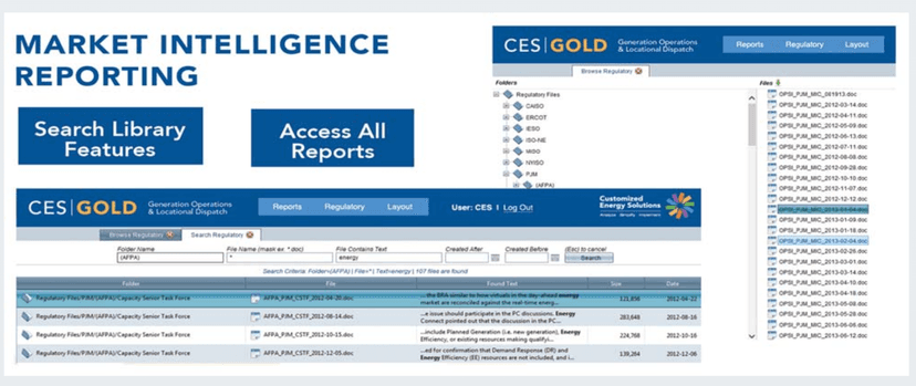 Market Intelligence Reporting